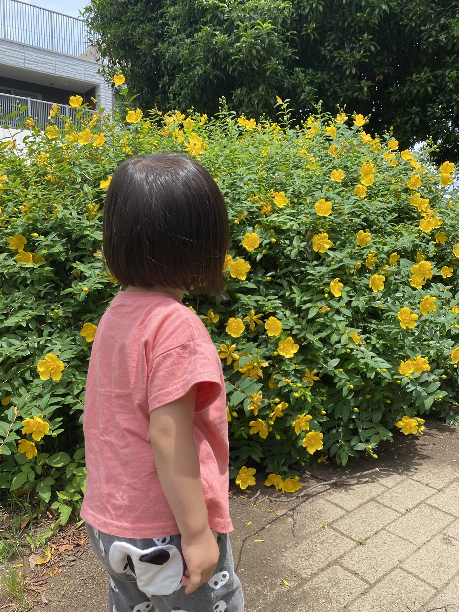 子育てに関するお悩みやご相談お受けします 年子姉妹(2歳と1歳)育児中の母、保育士をしていました。 イメージ1