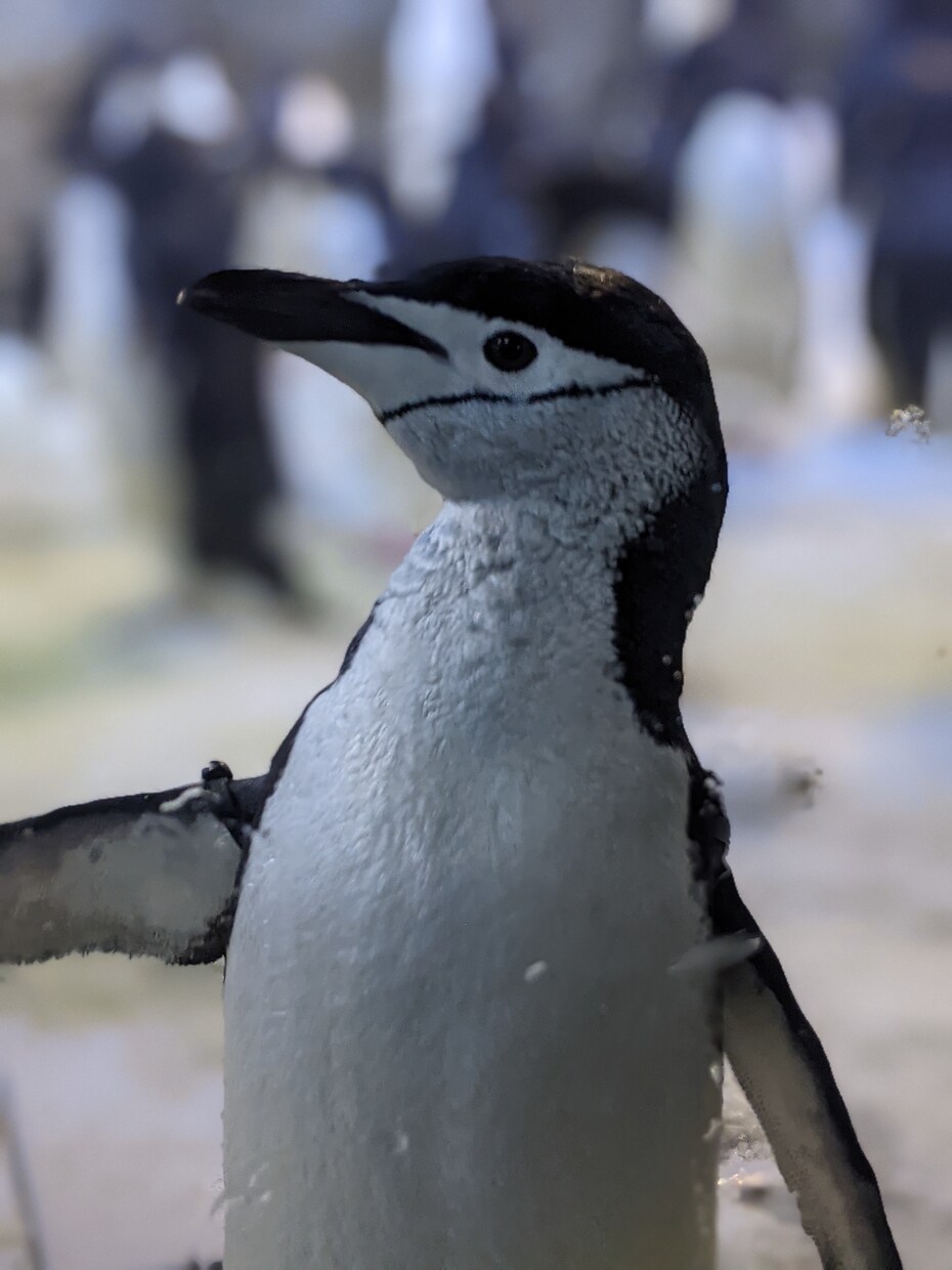 お望みの写真をお届け致します 自然、動物、など色々な写真を提供致します。 イメージ1