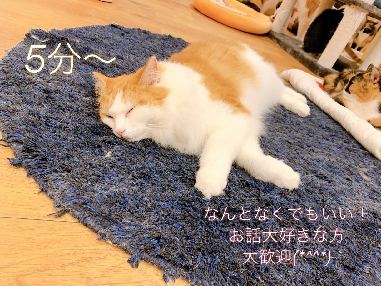 5分〜貴方の心の拠り所になります 話し相手が欲しい！愚痴・悩み聞いて欲しい人向け イメージ1