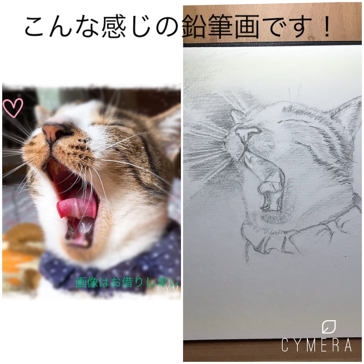 モノクロ　あなたの家族のネコさん、描きます 性格や個性が現れるよう、モノクロの静の雰囲気が好みの方に。 イメージ2