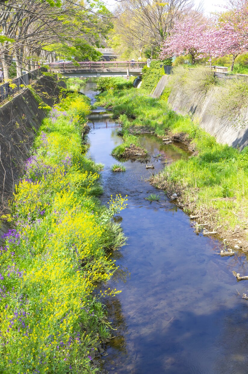 横浜市近隣の写真素材を撮影します あなたの代わりに写真を撮ってきます イメージ3