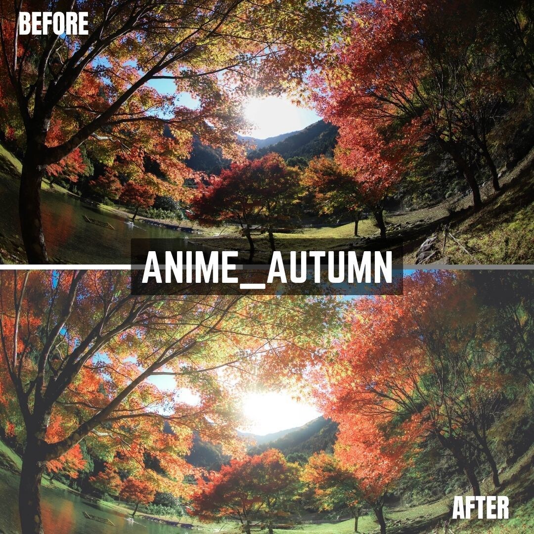 ANIME Lightroomプリセット販売します スマホで撮影した写真、ワンタッチで大変身！ イメージ7