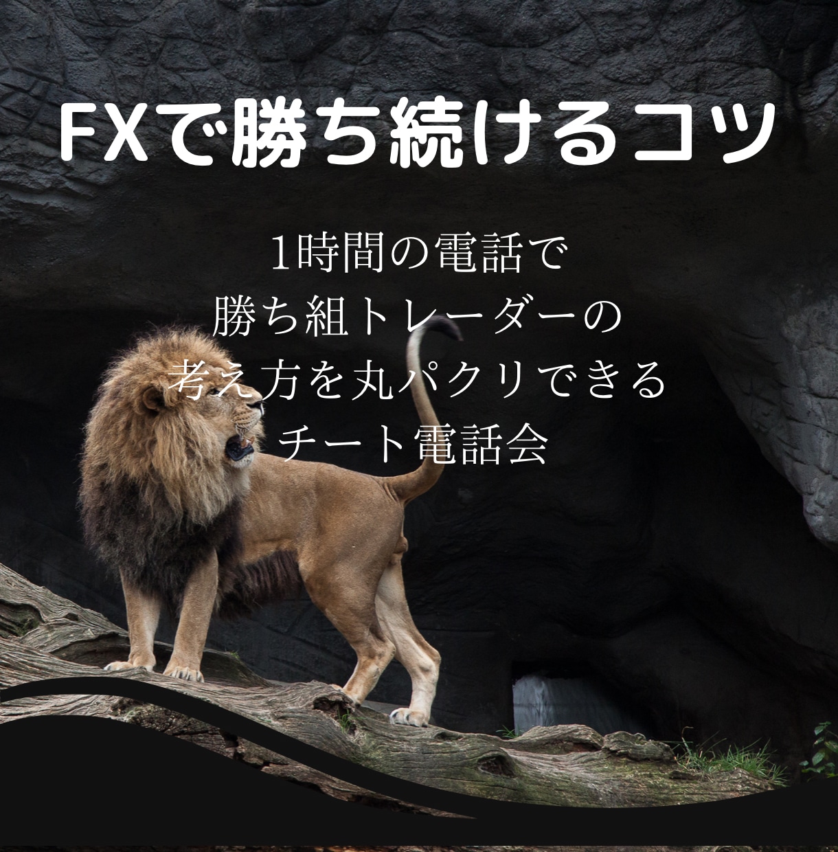 FXで勝てない原因を見つけ、その場で解決します FXで勝てない、悩めるあなたを全力で救います イメージ1