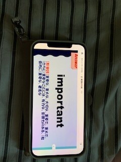 スマホで見れるあなたのオリジナル単語帳作成致します スマホでスライドさせながら見れる自分の単語帳を作成します！ イメージ7