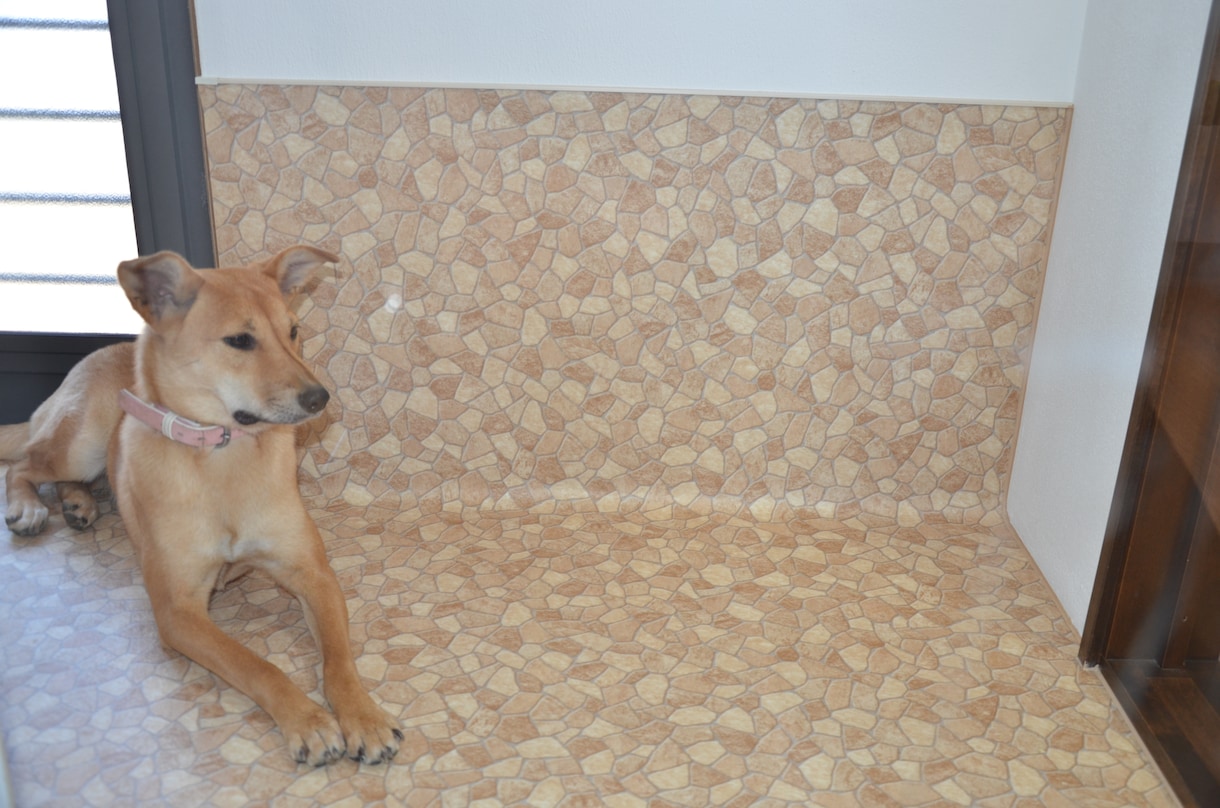 犬と一緒に楽しく暮らす工夫、アイデアをご提案します 掃除も世話も簡単にする工夫を図面やパースで作成します イメージ7