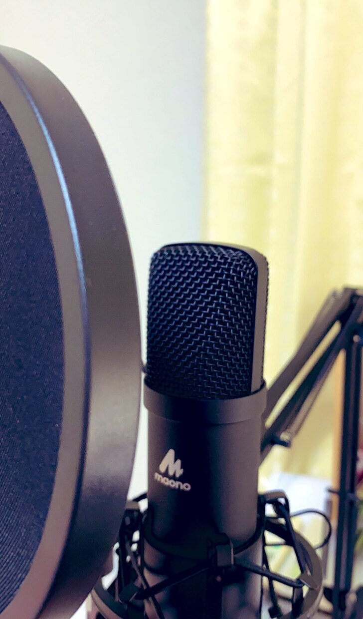 仮歌実績有り！歌い手アマチュアが心を込めて歌います 貴方様が作った楽曲に音声をつけてお送り致します！ イメージ1