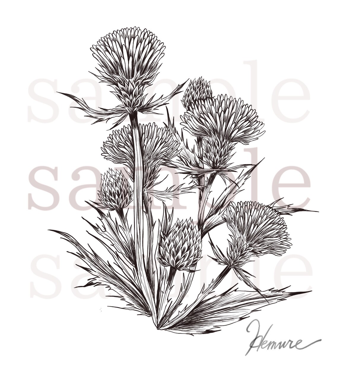 ペン画風の植物お描きします ペン画風のモノクロ版、カラー版イラストお描きします。 イメージ4