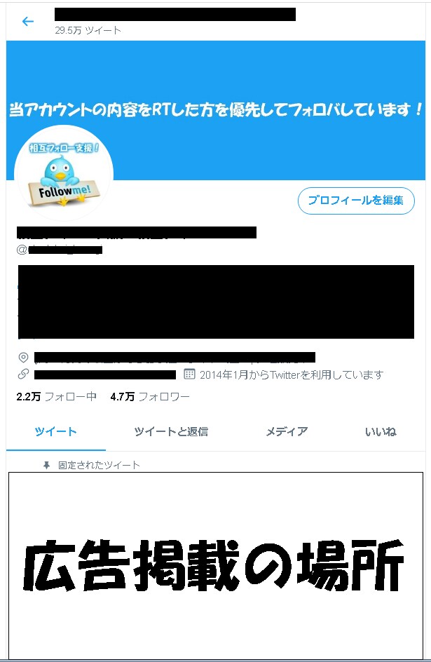 46万人のツイッターTopに広告を掲載します お好きな広告を固定ツイートとしてTopに1週間掲載します イメージ2
