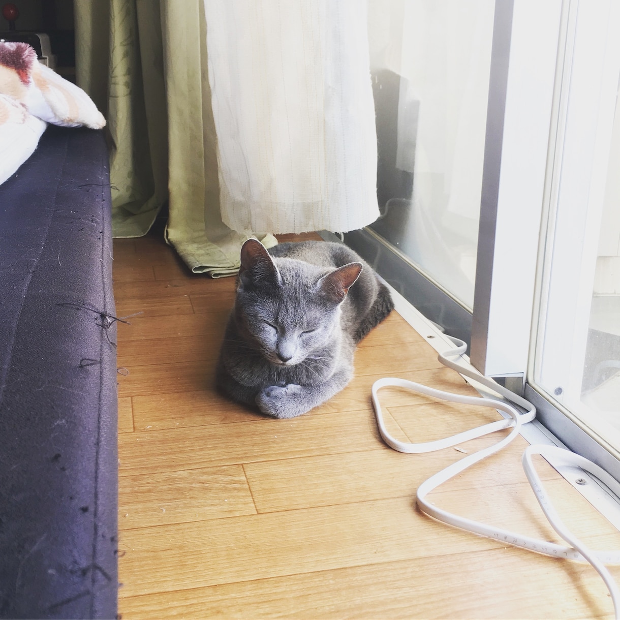 とりあえず、ジュエリーと不動産についてお話聞きます 変に売り込まれたりしたくない。誰に聞けばいいか分からない方。 イメージ4