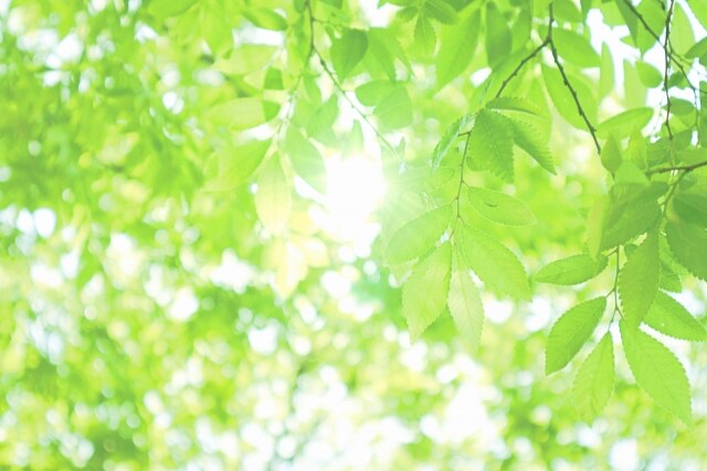 めっちゃ大好きなあの人を振り向かせる方法を教えます 恋愛アドバイザーが片想いの悩みに寄り添い幸せに導きます！！！ イメージ10
