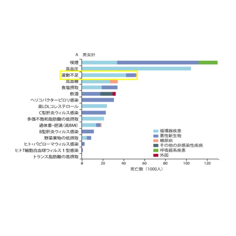 運動の習慣化！ただの応援でなく”一緒に”やります 【習慣化は仲間が9割】２週間から　運動不足解消し健康に イメージ3