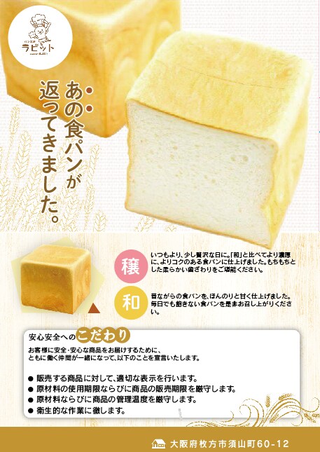 セミナー開催する人無形のチラシを作成します 集客できないお悩みを解決します！！ イメージ1