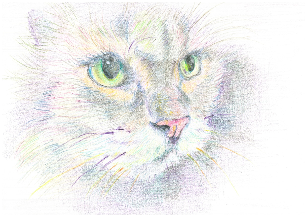 あなたの大切な人、ペットを絵画にします 色鉛筆画　ポストカードサイズです。心を込めて制作致します。 イメージ1