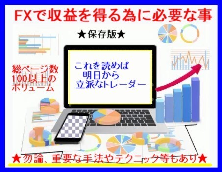 FXで収益を得る必要な知識と手法を教えます ★これを読めば明日からトレーダー！PDF126ページ保存版★ イメージ1
