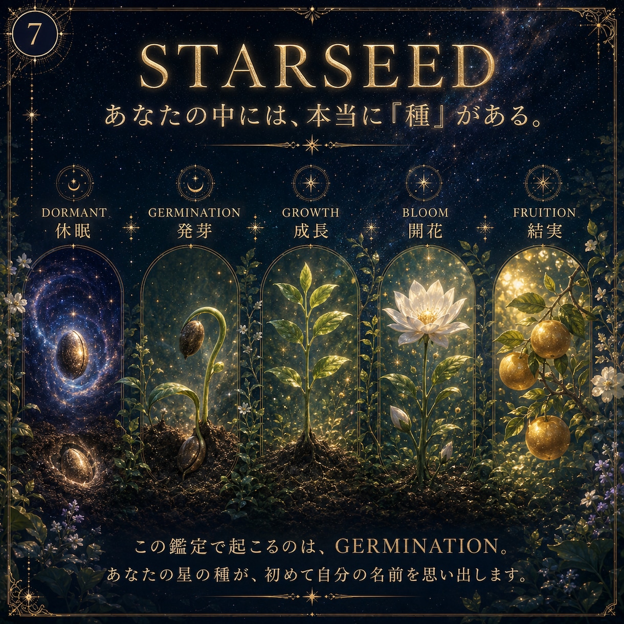 スターシード鑑定　大いなる源から出生星を降ろします なぜ地球に来たのか。魂のルーツから使命を開きシード発芽します イメージ7