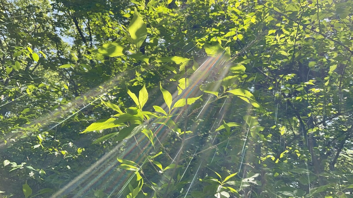 あなたを応援します １分でも良いです。やさしさにふれてください。 イメージ3