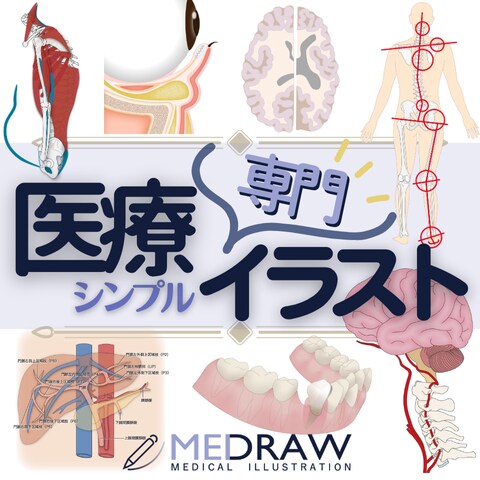 医療専門イラスト◆現役の医療従事者が描きます 学会、論文、資料、書籍などにご使用いただるシンプルなイラスト イメージ1