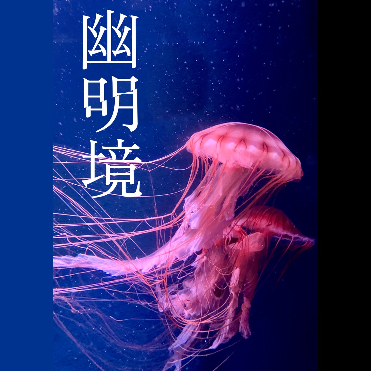 同人誌の入稿手伝い、表紙、お品書きを書きます 同人初心者向け。右も左も分からない方の手助けになります。 イメージ1