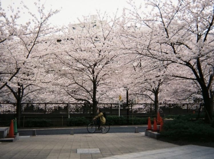 あなたの日常をどんな事でも受け止めます 日常の楽しいことから苦しいことまで、少しでも生活に寄り添える イメージ1