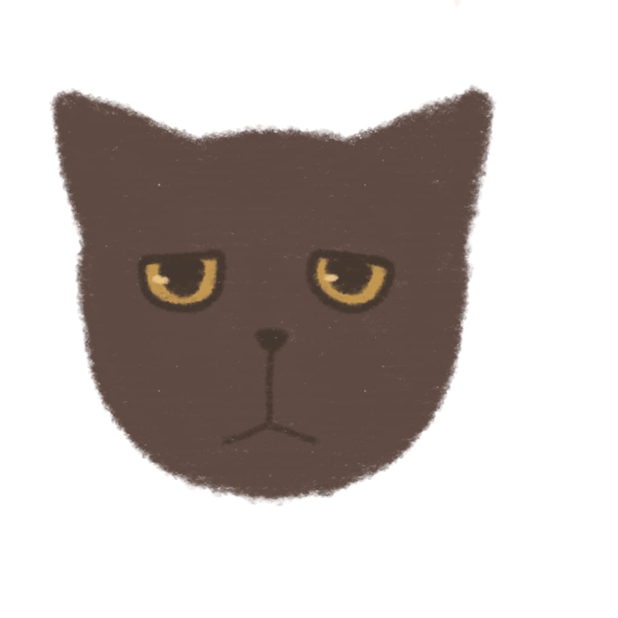 あなたのねこちゃんお描きします ねこちゃんの特徴を捉えて描いていきます　短毛の子限定 イメージ2
