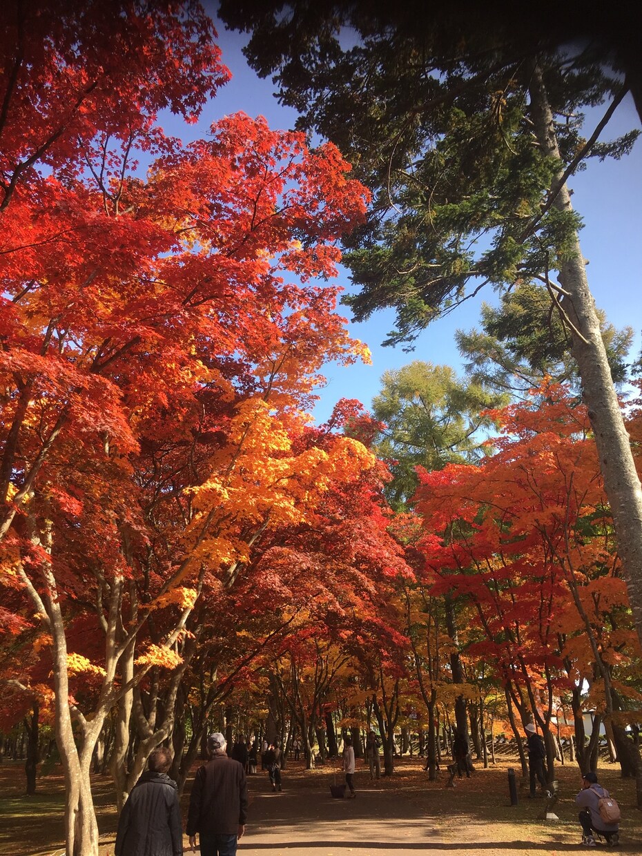 1コイン1時間、じっくりお話聴かせて頂きます 愚痴、悩み事、暇つぶしに、トークルームでチャットしませんか？ イメージ1