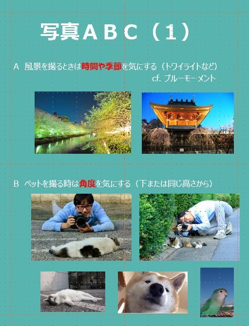 安心して暮らすための３ステップ便利事典を販売します 当事者（障がいのある人）と支援者（家族など）などにどうぞ イメージ2