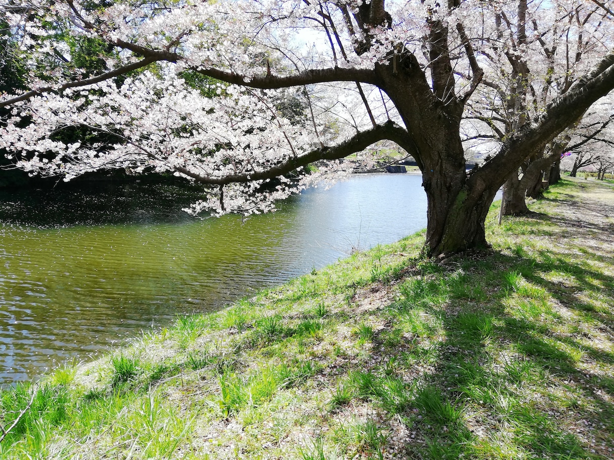 話したいことある人の話聞きます ついでに占いもできますよ～(*^_^*) イメージ1