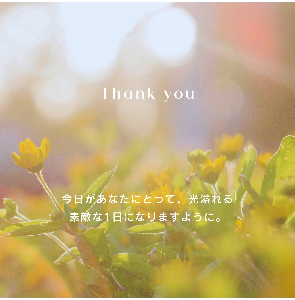 孤独、不安、寂しさ吹き飛ばせ！悩み1分から聞きます よしこお母さんが優しく受け止めます。安心して電話して下さい。 イメージ4