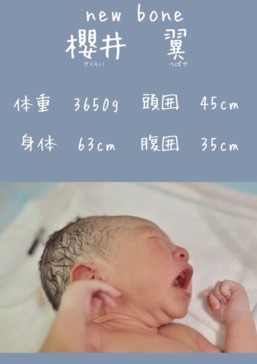最安値でお受け致します 思い出をアルバムにしませんか。お試し可能です。 イメージ2