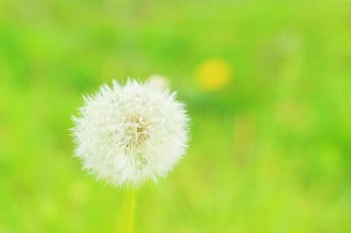 子育て中ママお電話お待ちしてます 子供がバタバタしていても気にせずお電話下さい^ - ^ イメージ1