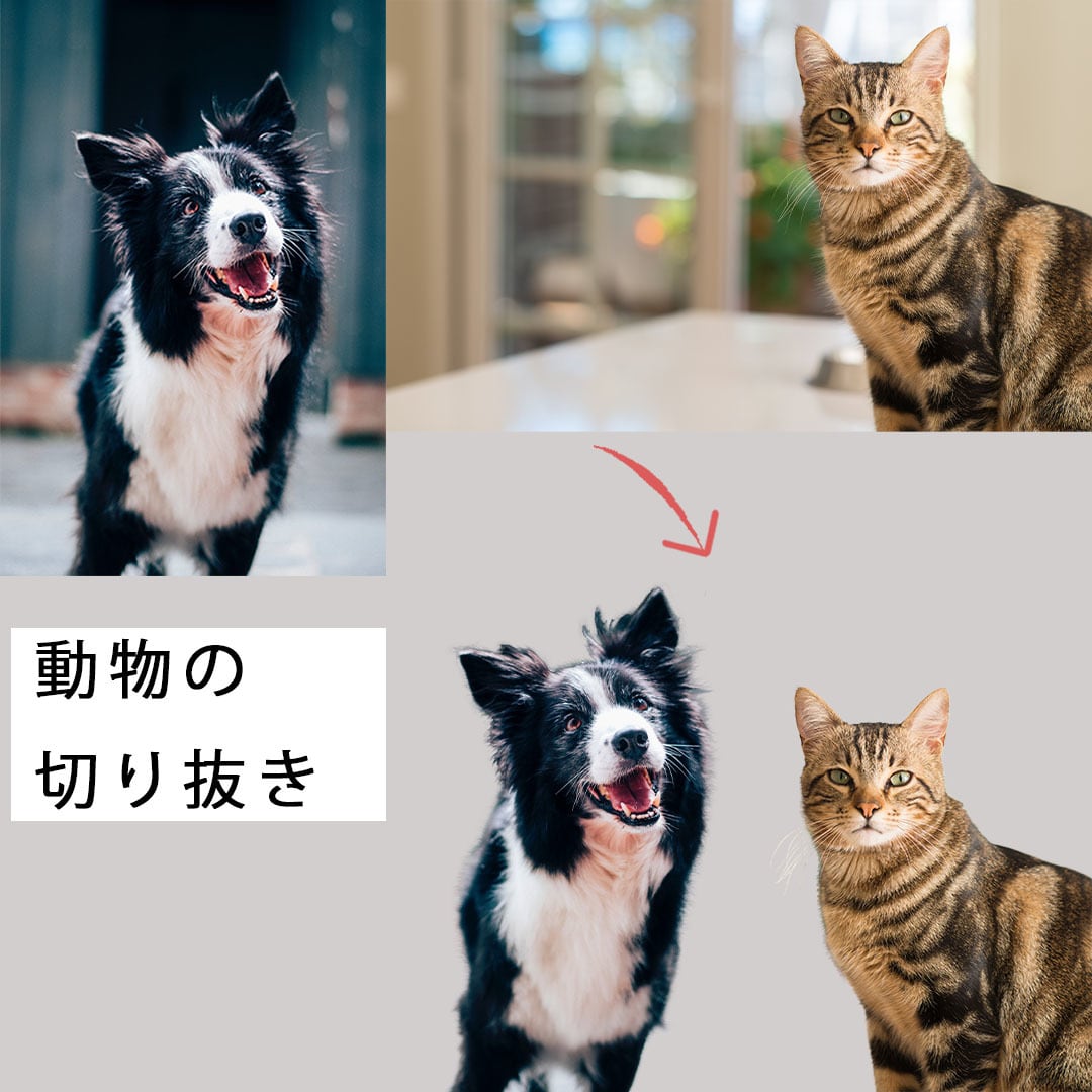 画像の切り抜き・加工、安価で承ります 1～5枚 初回最低価格（修正回数無制限）でお受けいたします！ イメージ5