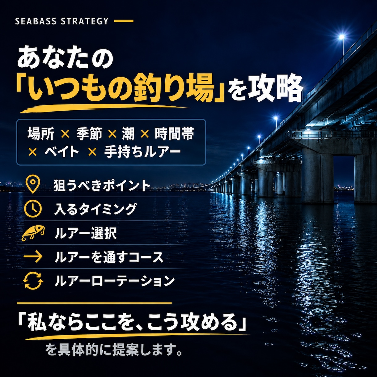 あなたの釣り場を分析！シーバス攻略プランを作ります 40年以上の経験から、ポイント・潮・ルアーなどを個別提案 イメージ3