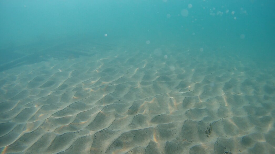 陸海空の素材映像、画像、代理撮影致します 地上～ドローンによる空撮、水中撮影まで全てをカバーします イメージ7