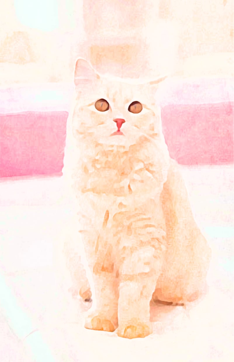 画像を絵やイラスト風にします 画像をかわいい絵にします！！！ イメージ3