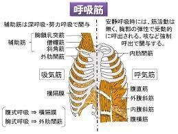 万病を癒すやくし呼吸療法をご指導します 呼吸が変われば、心・身体・動き・生活・運命が変わる イメージ1