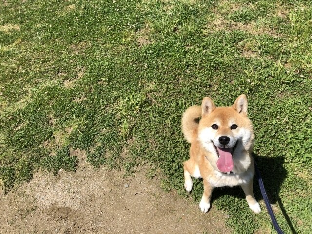 1時間集中してお話お聞きします 忙しくてお時間がない方、ちょっと試したい方むけチャットです。 イメージ8