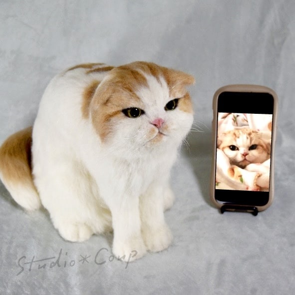 ペットのお写真から羊毛でリアルにお作りします お写真から大切なペットさんをリアルにお作りします イメージ2