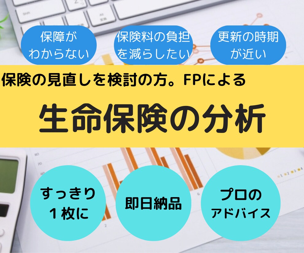 即日納品！FPがご加入中の生命保険を分析します プロがスッキリわかりやすく1枚にまとめます。アドバイス付き。 イメージ1