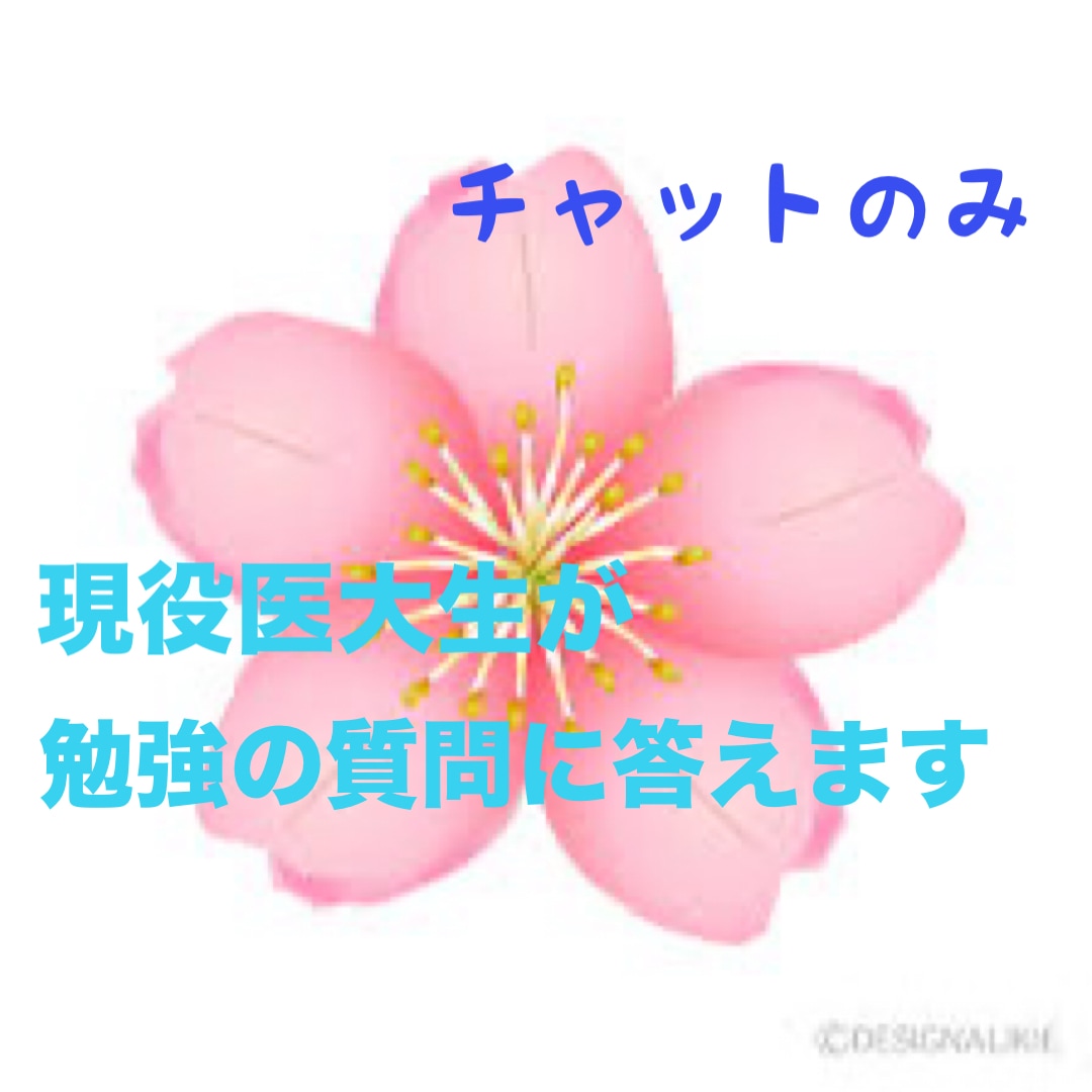 英検1級取得の現役医大生が勉強の質問に答えます 回数無制限!チャットにて受験相談などに個別に対応します。 イメージ1