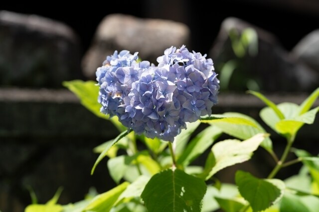 ひとりじゃない　そばにます 上手く話せなくても大丈夫　味方です イメージ1