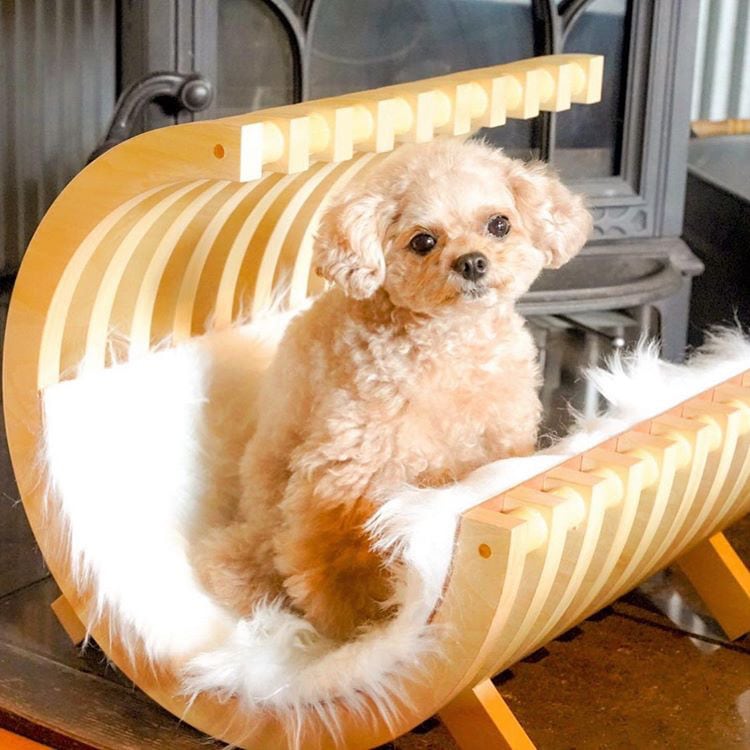 犬・猫の家具のデザイン・製作・悩み解決します ペット家具デザイナーによるペットと人の暮らしの在り方 イメージ1