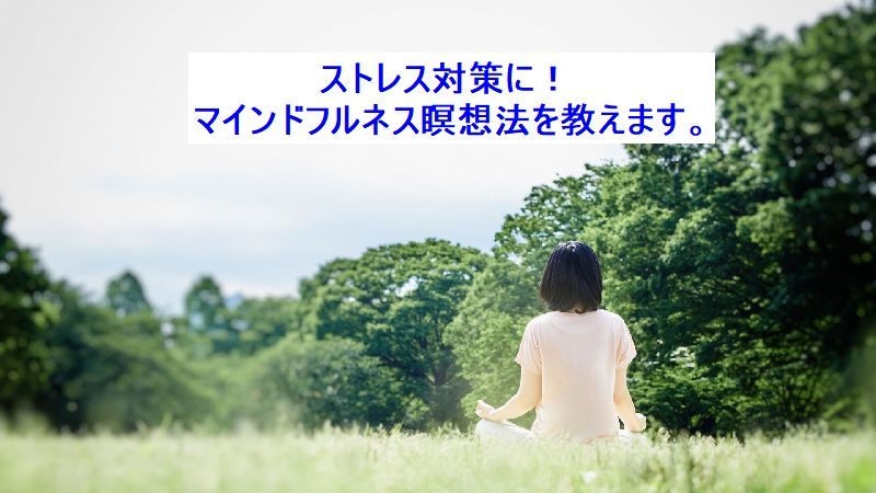 パワーアップマインドフルネスの対策法を伝えます メンタルケア、癒し、体質改善、イライラ軽減、寝不足解消に イメージ1