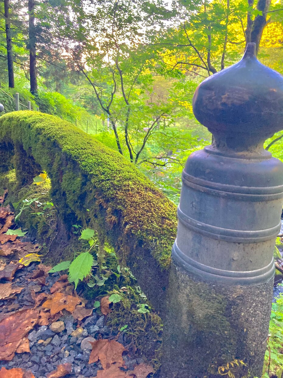 幸せ配達人♡相談者のお話をお聞きします 色んな人生経験を活かしてたくさんの方々を幸せへと導きたい✨ イメージ1