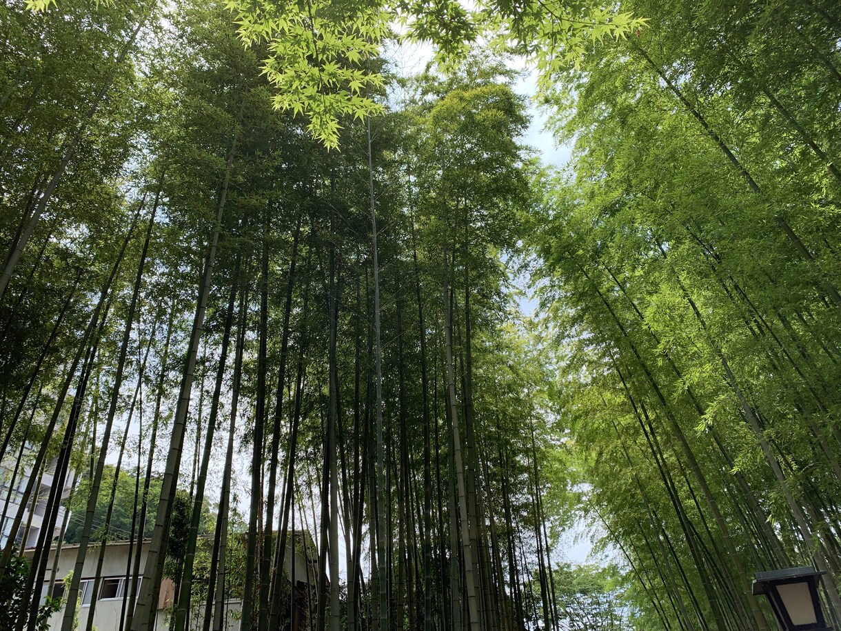 旅行先のおすすめの場所の提供やアドバイスをします 国内旅行をしていた私の行って損しない場所をお伝えします イメージ5