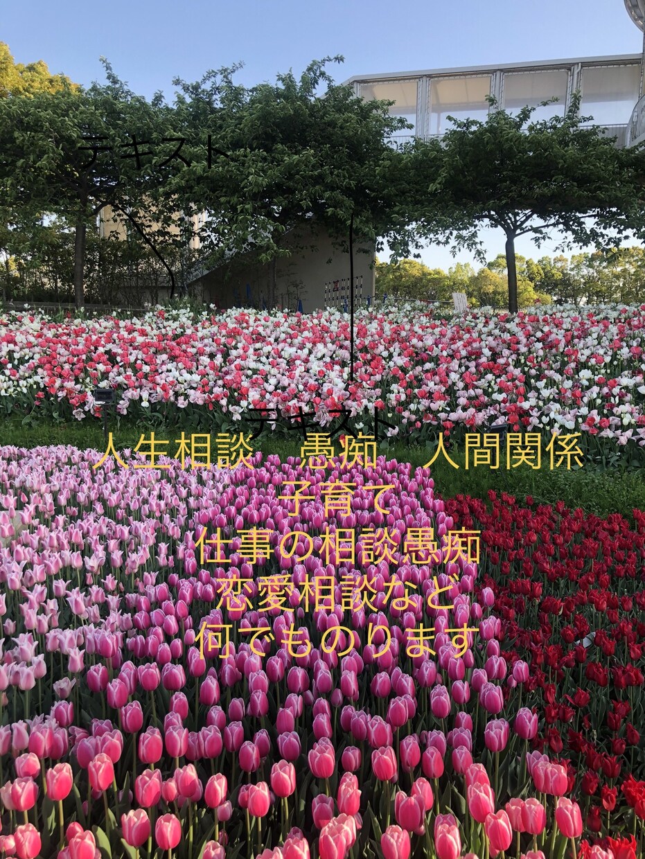 貴方のお話し聞きます 誰かに話したい聞いてほしい事何でも聞きます イメージ2
