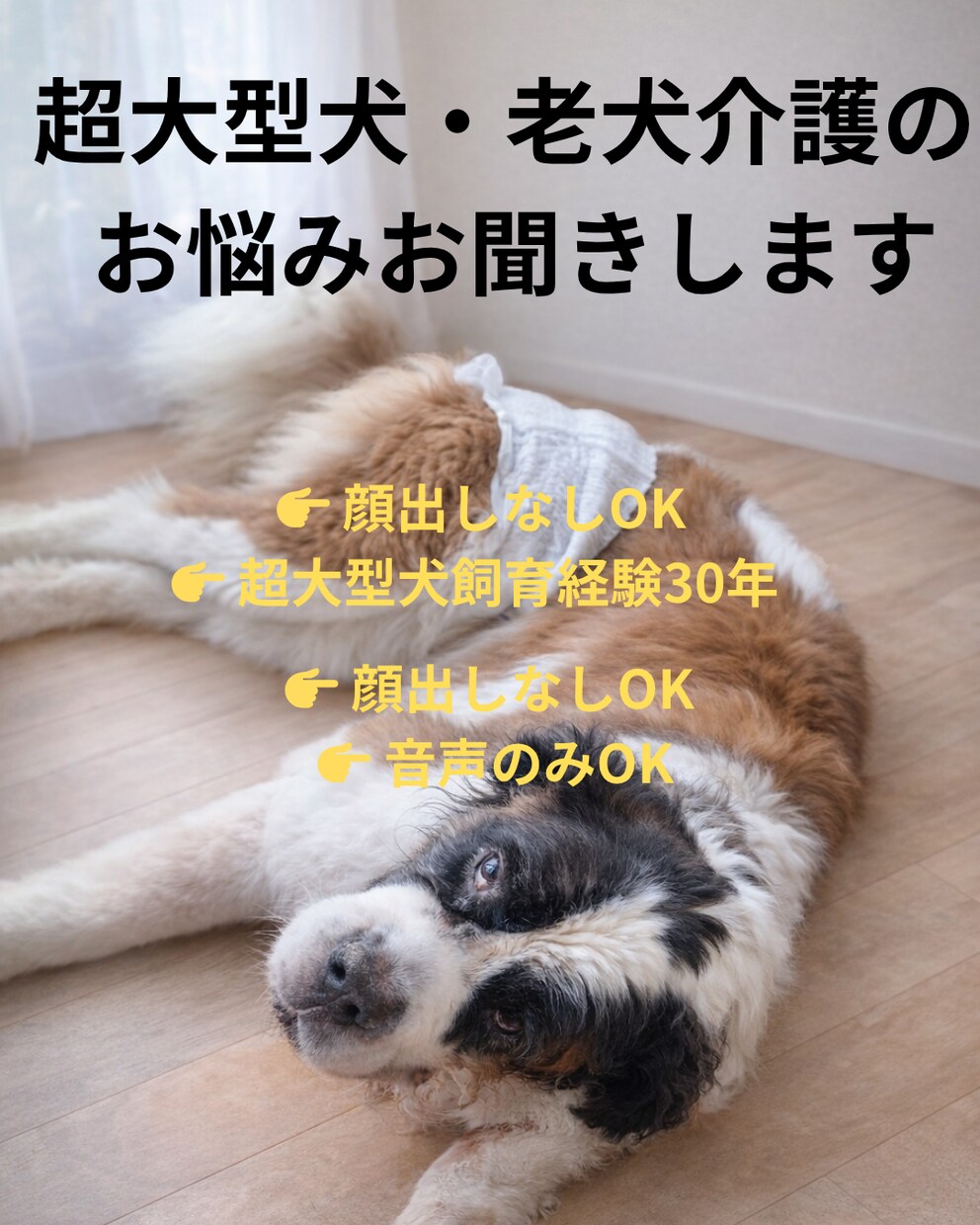 老犬介護のお悩み相談に乗ります 大型犬・超大型犬介護経験あります イメージ1