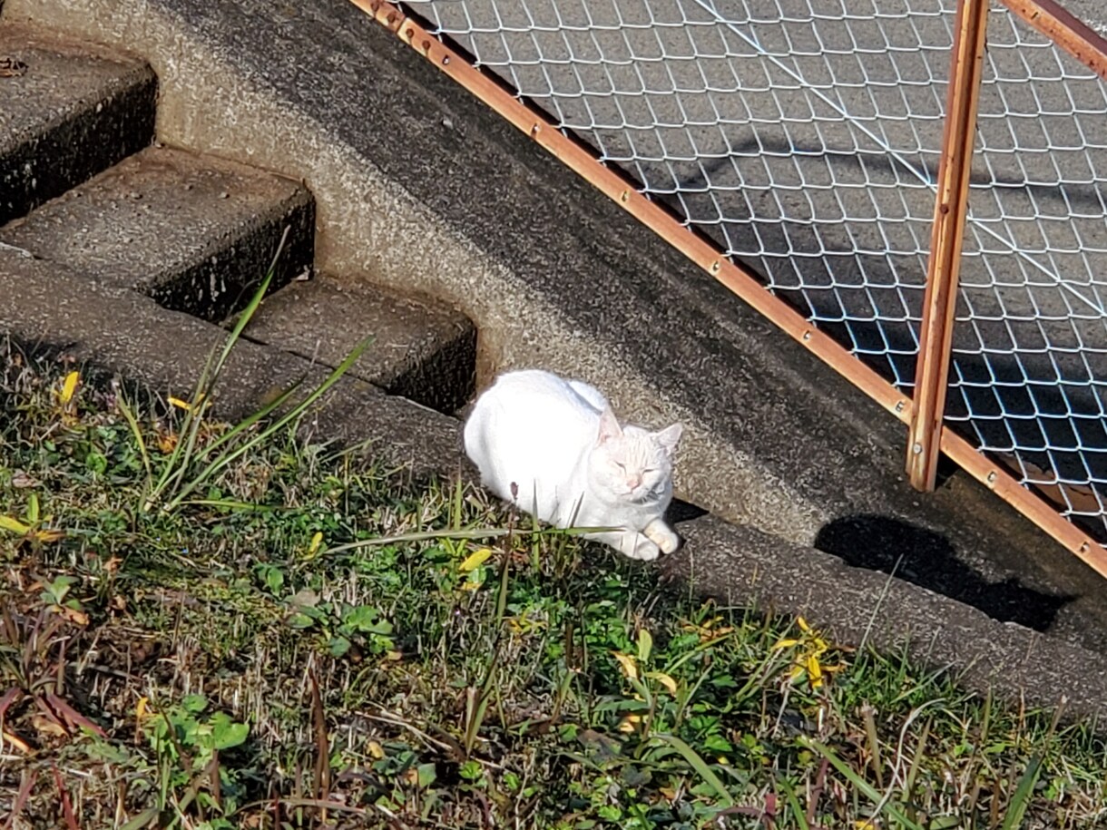 30分まで一律1,000円でテープ起こしやります 30分までの動画を一律1,000円でお受け致します。 イメージ1