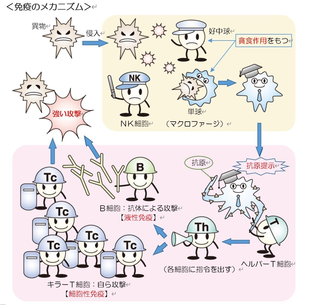 看護学生さん必見！完全個別サポートを行います 国家試験対策・実習対策、なんでもご相談ください⭐️ イメージ2