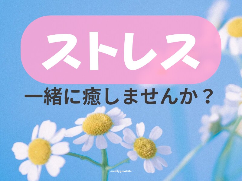 ストレスを抱え傷ついてるあなたのお話し伺います ✿ストレスに苦しみ 生きづらさを感じてる心に寄り添います イメージ1