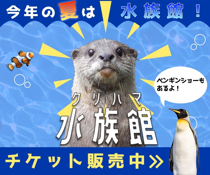 バナー・WEB用画像制作します ECサイトやWEBサイトのバナーや画像を制作します イメージ1